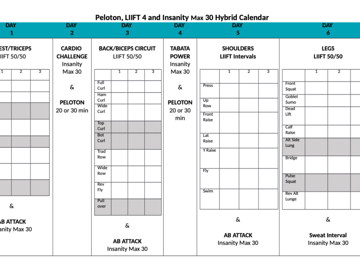 LIIFT4 Hybrid Workout Calendar.