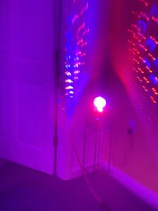 Peloton and Disco Ball